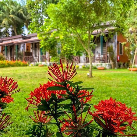 Villa Pinnawala Pinnawala  Exterior foto