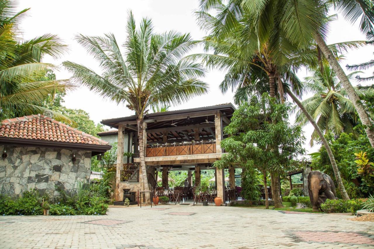 Villa Pinnawala Pinnawala  Exterior foto